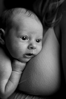 TraceyScanlan_20130901_0001